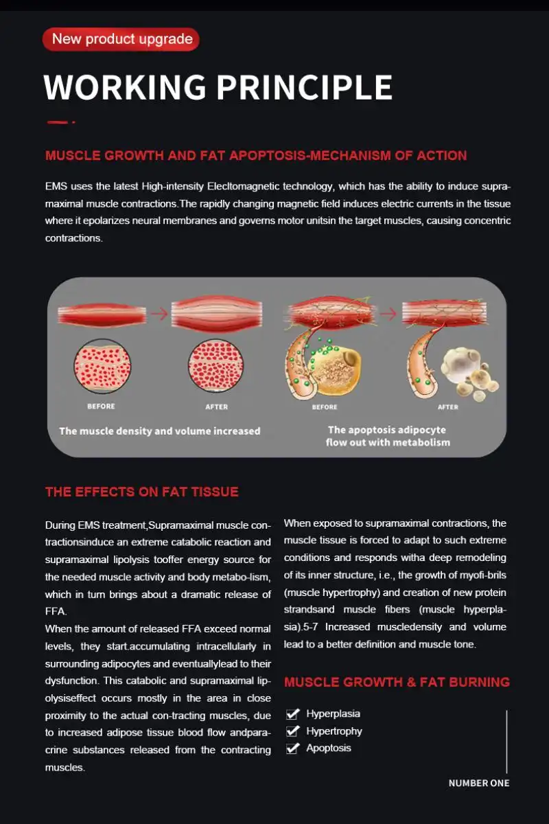 ems muscle stimulator machine made in China