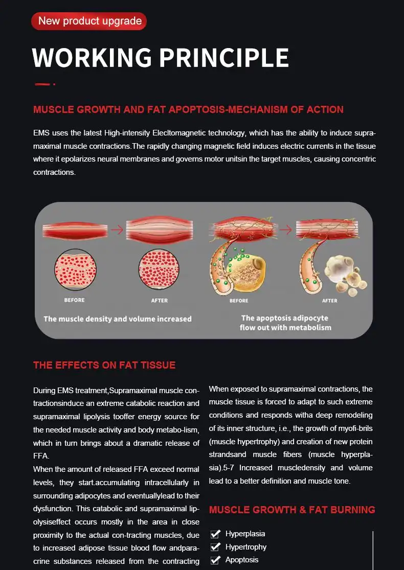 magnetic muscle stimulation machine manufacturers 